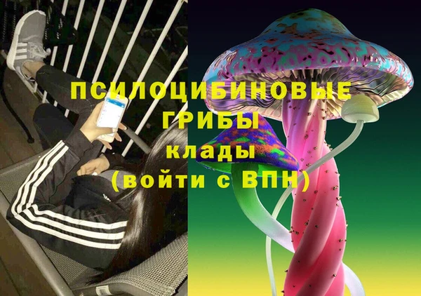 прущий лед Алексеевка
