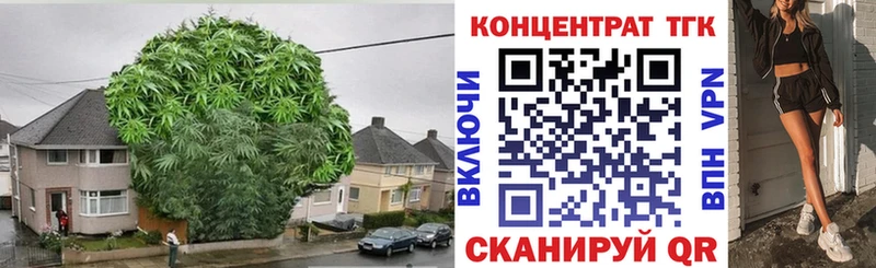 ТГК Wax  MEGA ТОР  Заволжск 